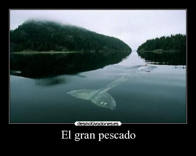 El gran pescado - 