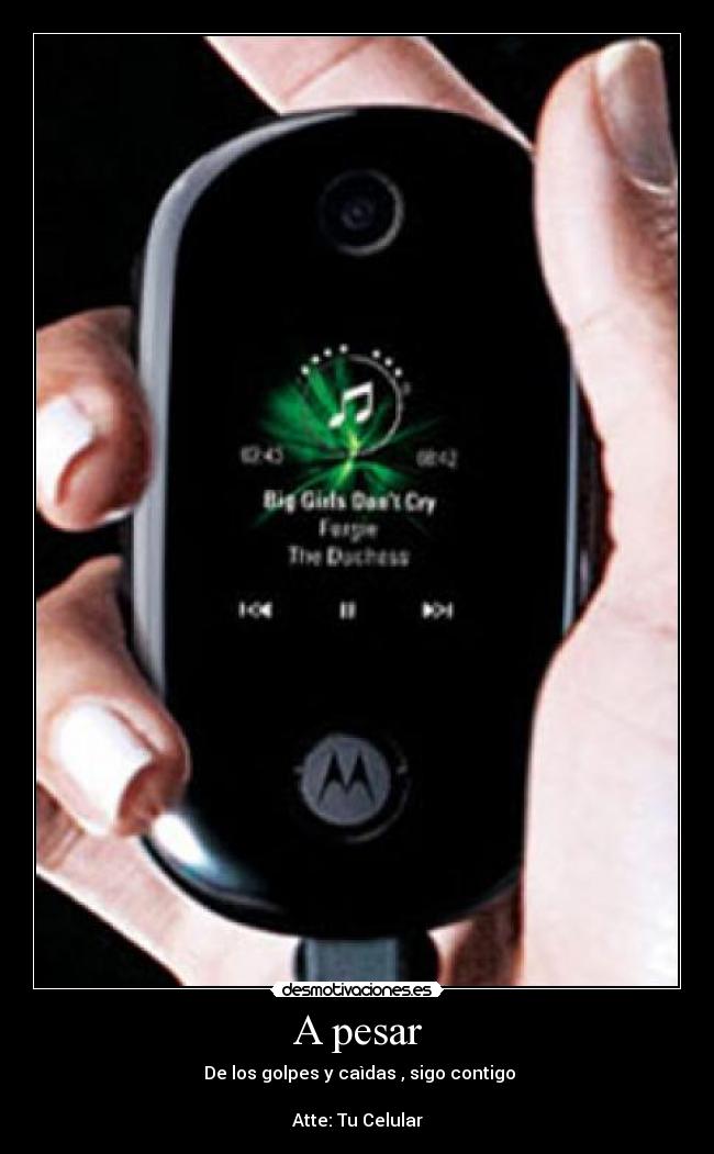 A pesar - De los golpes y caìdas , sigo contigo
Atte: Tu Celular