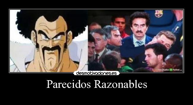 Parecidos Razonables - 