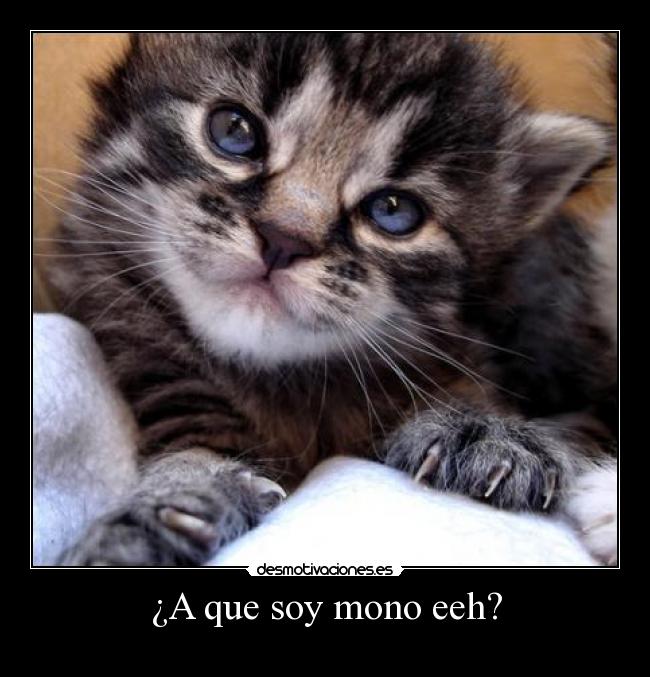 ¿A que soy mono eeh? -