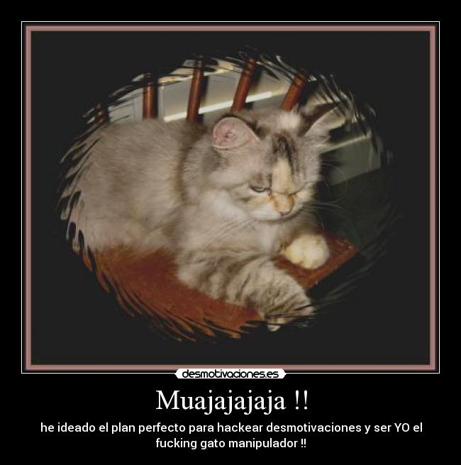 carteles gato walt_k lordny manipulador hacker internet desmotivaciones desmotivaciones