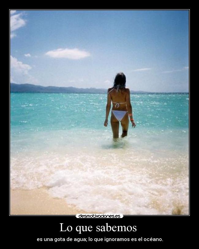 Lo que sabemos - es una gota de agua; lo que ignoramos es el océano.