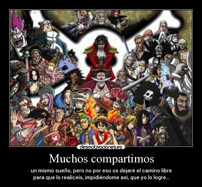 carteles one piece roger luffy zoro nami sanji robin brooks usopp chopper franky aokiji kid trafalgar ace desmotivaciones