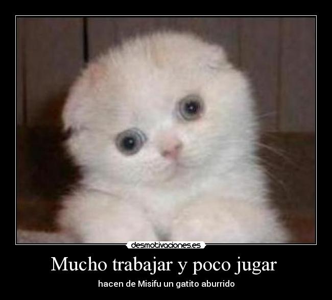 Mucho trabajar y poco jugar  - 