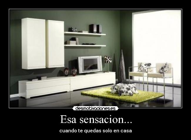 carteles esa sensacion cuando quedas solo casa raven synyster desmotivaciones