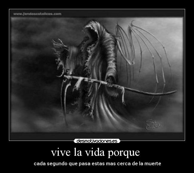 vive la vida porque  - 