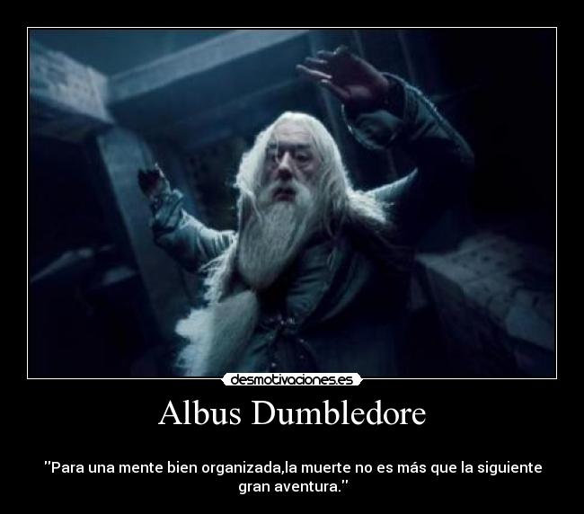 Albus Dumbledore -
