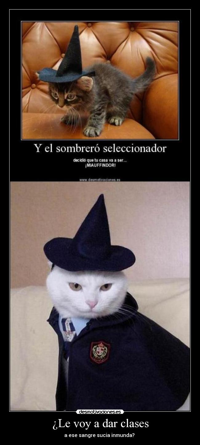 ¿Le voy a dar clases - 