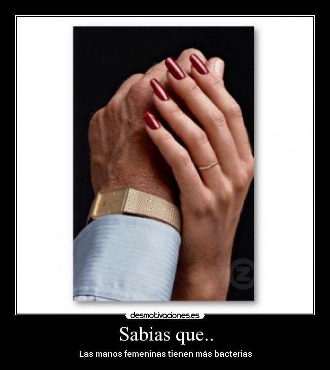 Sabias que.. - Las manos femeninas tienen más bacterias
