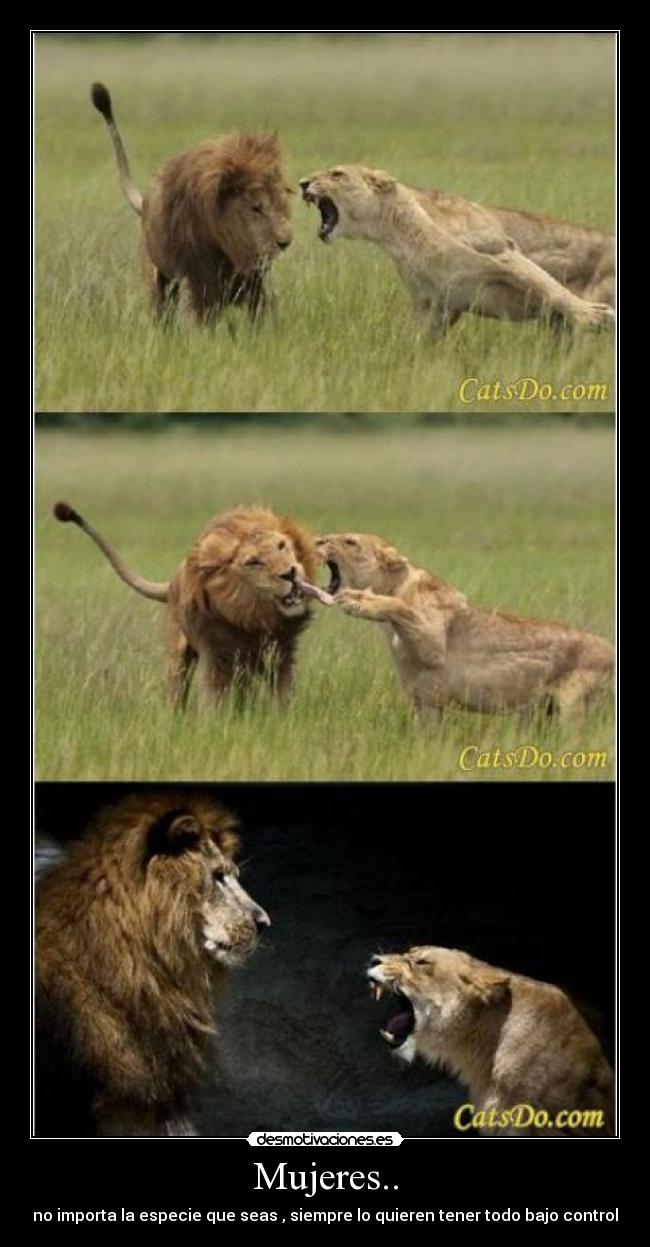 Mujeres.. - no importa la especie que seas , siempre lo quieren tener todo bajo control