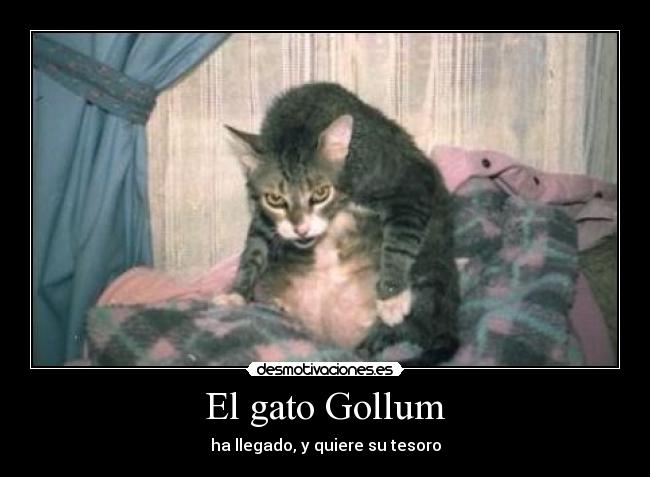 El gato Gollum -
