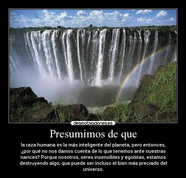 Presumimos de que - la raza humana es la más inteligente del planeta, pero entonces,
¿por qué no nos damos cuenta de lo que tenemos ante nuestras
narices? Porque nosotros, seres insensibles y egoístas, estamos
destruyendo algo, que puede ser incluso el bien más preciado del
universo.