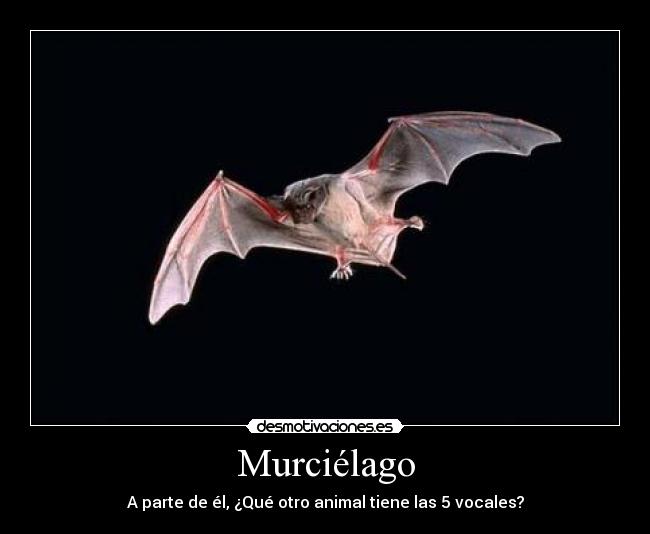 Murciélago -