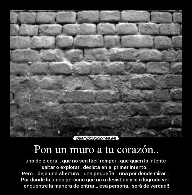 Pon un muro a tu corazón.. - uno de piedra... que no sea fácil romper.. que quien lo intente
saltar o explotar.. desista en el primer intento...
Pero... deja una abertura... una pequeña... una por donde mirar...
Por donde la única persona que no a desistido y lo a logrado ver..
encuentre la manera de entrar... esa persona.. será de verdad!!