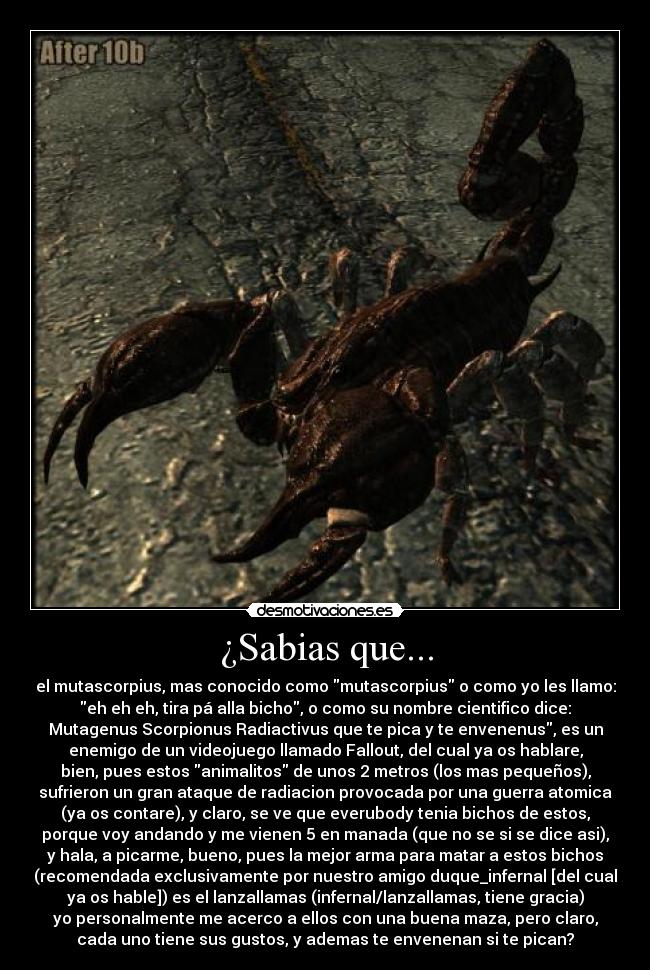 ¿Sabias que... - el mutascorpius, mas conocido como mutascorpius o como yo les llamo:
eh eh eh, tira pá alla bicho, o como su nombre cientifico dice:
Mutagenus Scorpionus Radiactivus que te pica y te envenenus, es un
enemigo de un videojuego llamado Fallout, del cual ya os hablare,
bien, pues estos animalitos de unos 2 metros (los mas pequeños),
sufrieron un gran ataque de radiacion provocada por una guerra atomica
(ya os contare), y claro, se ve que everubody tenia bichos de estos,
porque voy andando y me vienen 5 en manada (que no se si se dice asi),
y hala, a picarme, bueno, pues la mejor arma para matar a estos bichos
(recomendada exclusivamente por nuestro amigo duque_infernal [del cual
ya os hable]) es el lanzallamas (infernal/lanzallamas, tiene gracia)
yo personalmente me acerco a ellos con una buena maza, pero claro,
cada uno tiene sus gustos, y ademas te envenenan si te pican?
