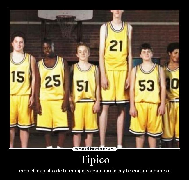 Tipico - 