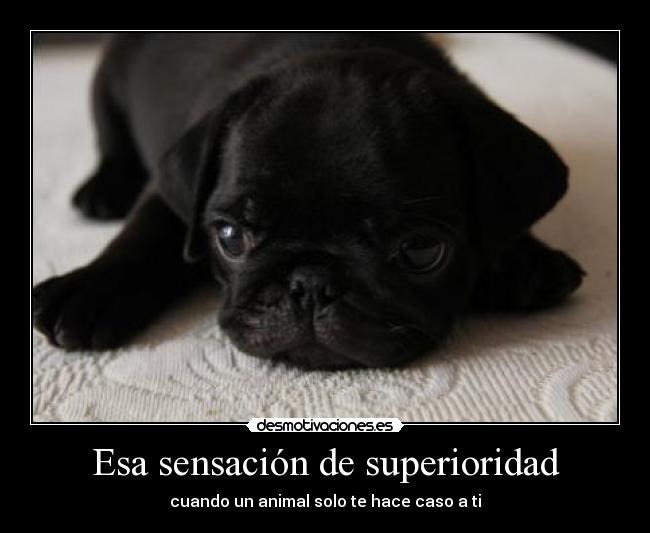Esa sensación de superioridad -
