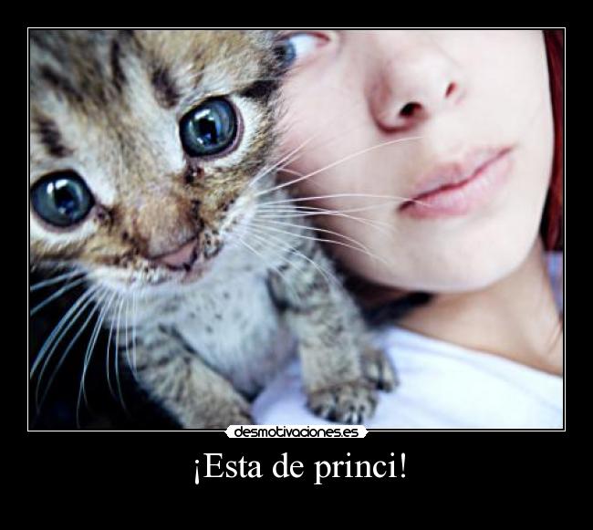 ¡Esta de princi! - 