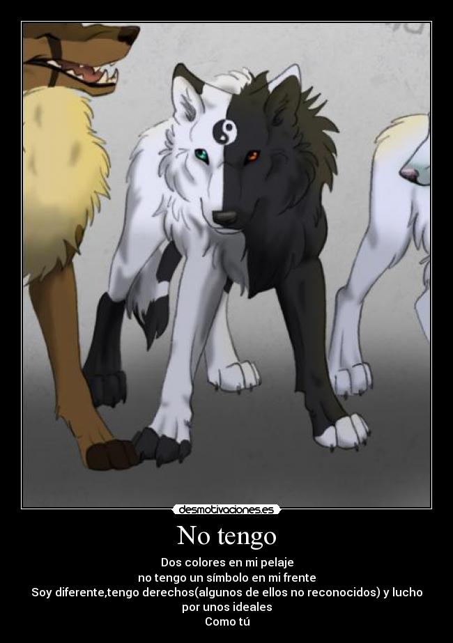 No tengo - Dos colores en mi pelaje
no tengo un símbolo en mi frente
Soy diferente,tengo derechos(algunos de ellos no reconocidos) y lucho
por unos ideales
Como tú