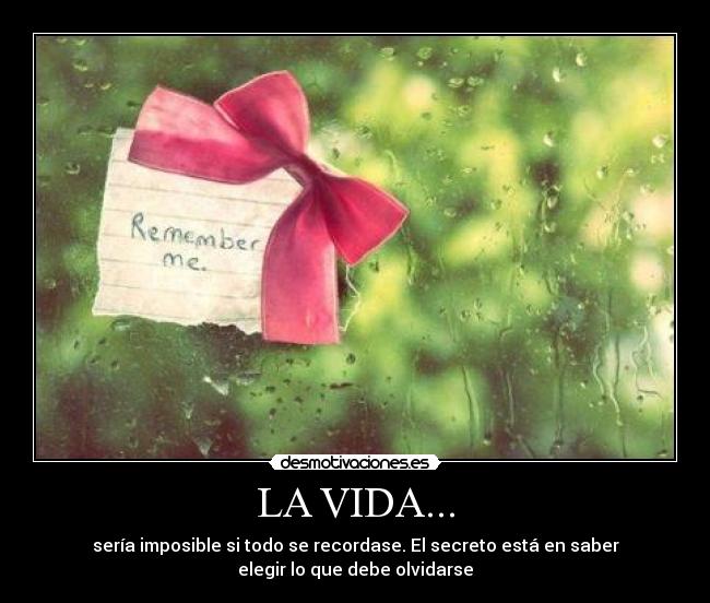 LA VIDA... - 