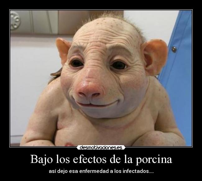 Bajo los efectos de la porcina - así dejo esa enfermedad a los infectados....