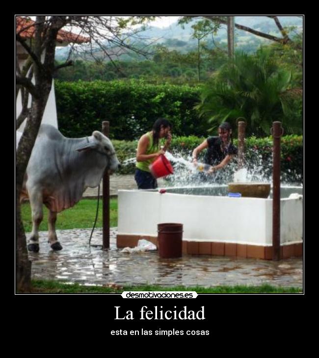 La felicidad - esta en las simples cosas
