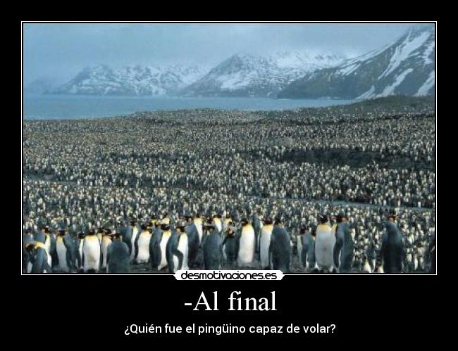 -Al final - ¿Quién fue el pingüino capaz de volar?