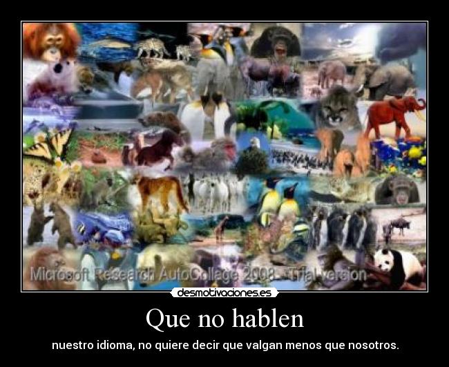 Que no hablen - 