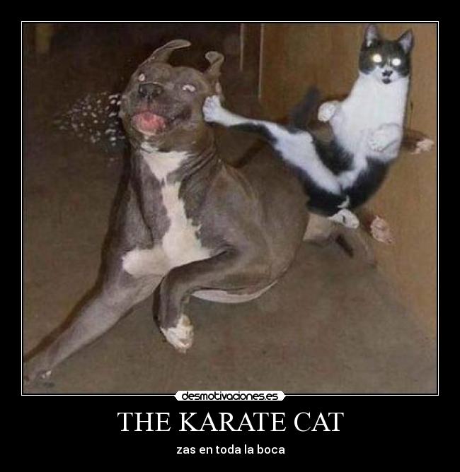 carteles guantazo desmotivaciones