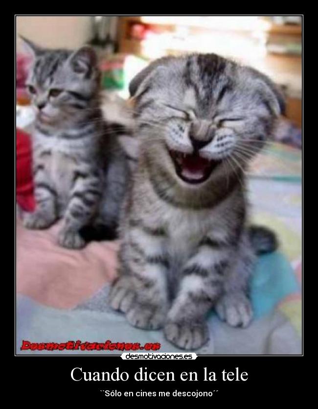 Cuando dicen en la tele - 