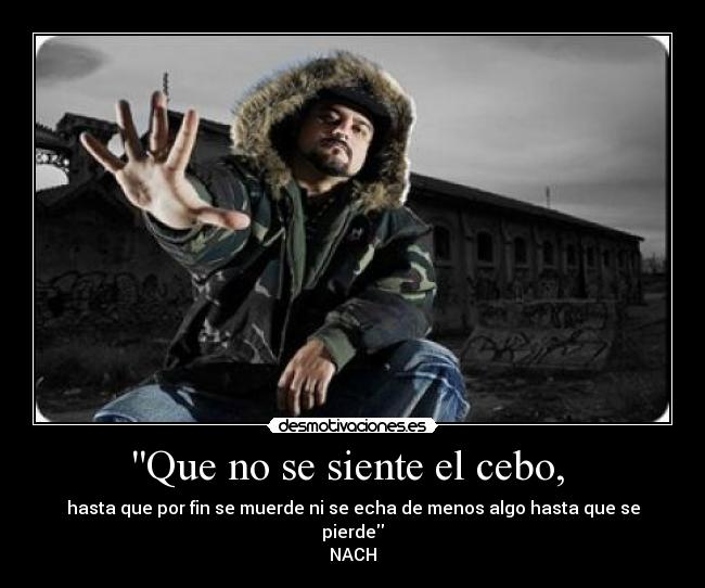 Que no se siente el cebo,  - hasta que por fin se muerde ni se echa de menos algo hasta que se pierde
NACH