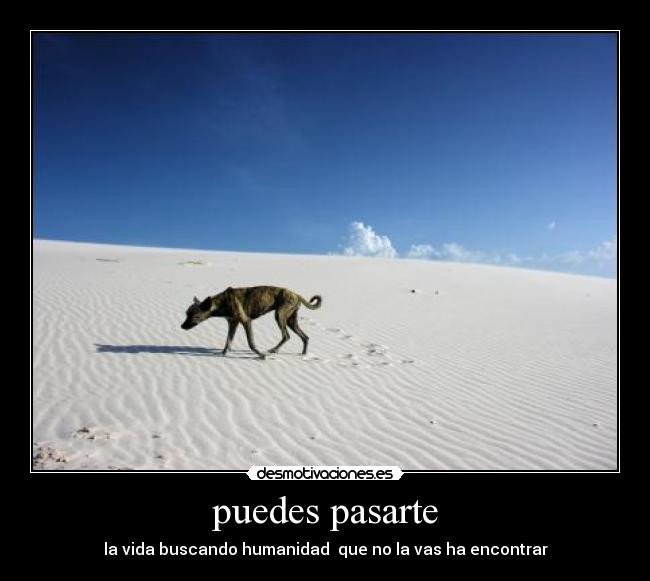 puedes pasarte - la vida buscando humanidad que no la vas ha encontrar