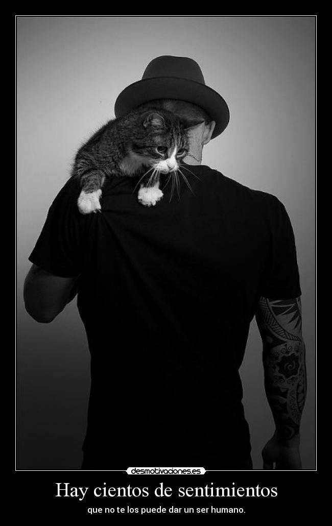 Hay cientos de sentimientos - 