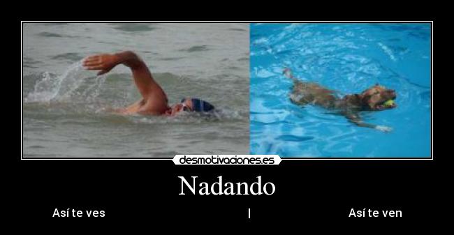 Nadando - 