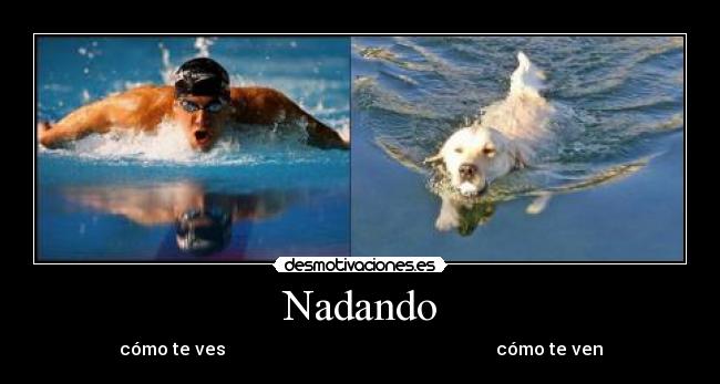 carteles nadando desmotivaciones