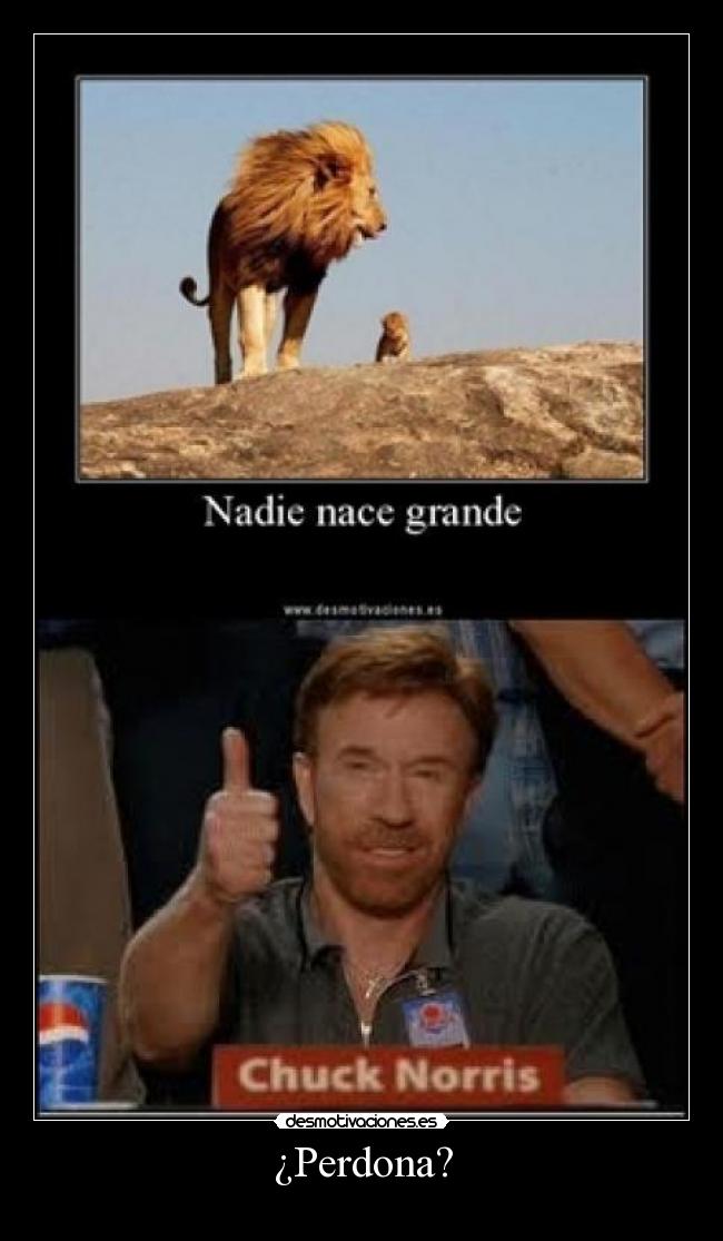 carteles chuck norris desmotivaciones