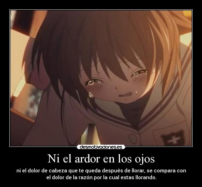 Ni el ardor en los ojos -