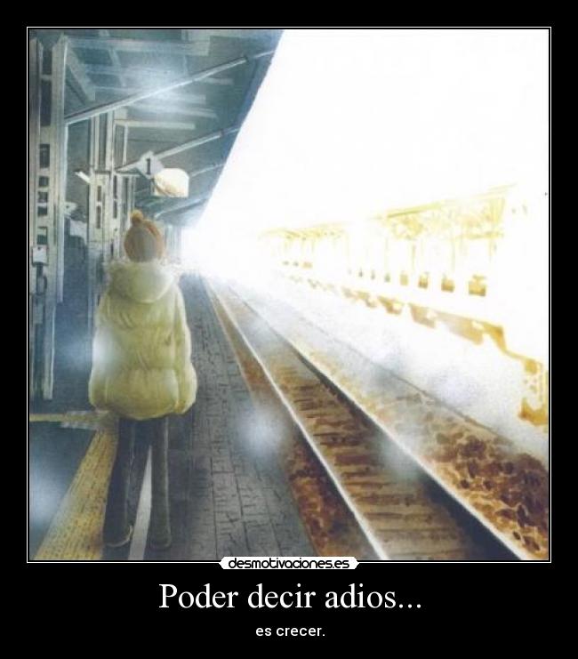 carteles adios tt desmotivaciones