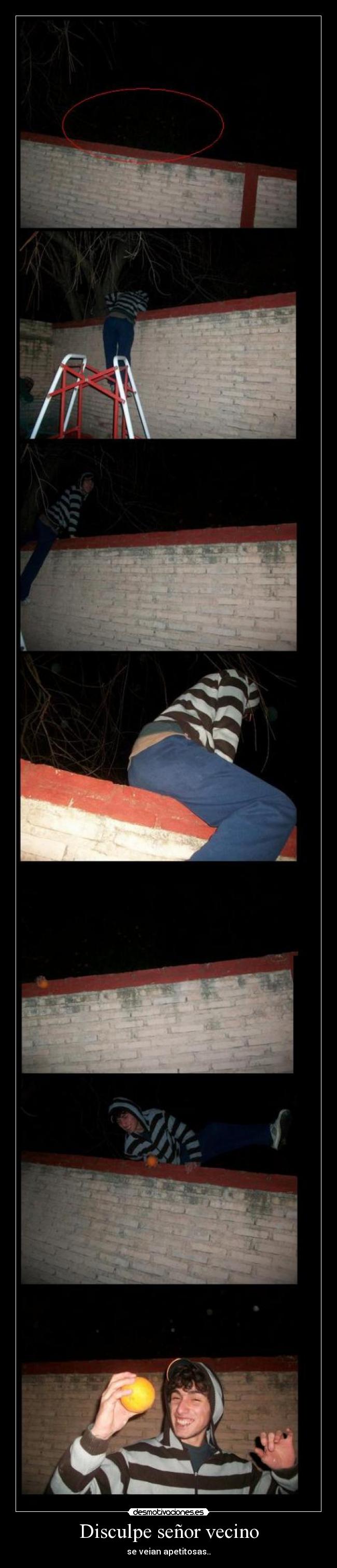 Disculpe señor vecino - se veian apetitosas..