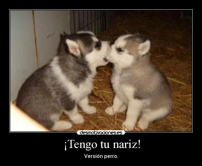 ¡Tengo tu nariz! - 
