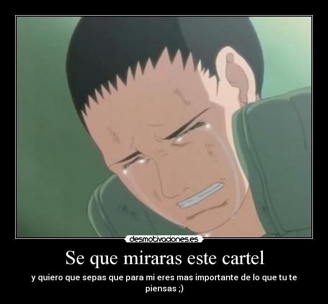 Se que miraras este cartel - y quiero que sepas que para mi eres mas importante de lo que tu te piensas ;)