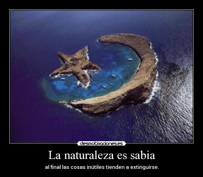 La naturaleza es sabia - al final las cosas inútiles tienden a extinguirse.