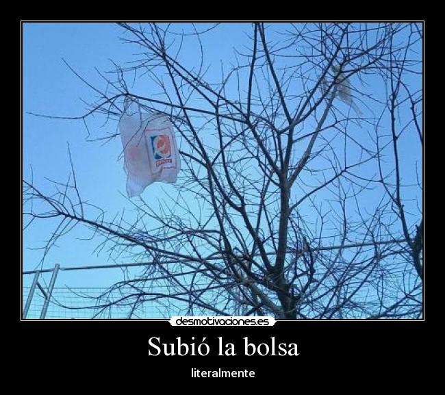 Subió la bolsa - literalmente