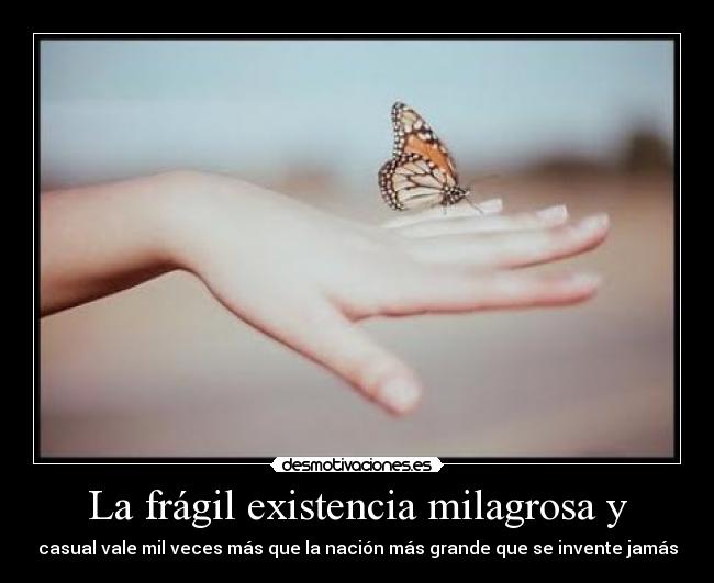 La frágil existencia milagrosa y - 