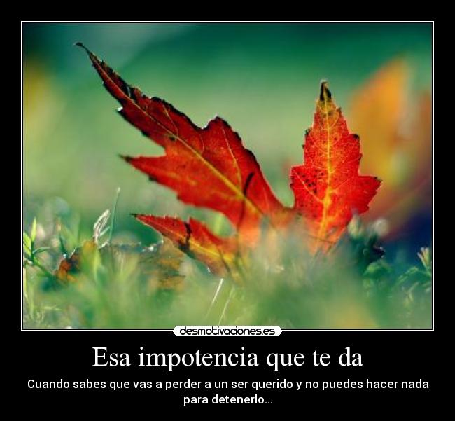 Esa impotencia que te da - Cuando sabes que vas a perder a un ser querido y no puedes hacer nada
para detenerlo...