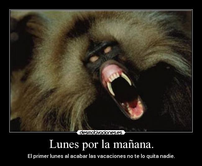 Lunes por la mañana. - El primer lunes al acabar las vacaciones no te lo quita nadie.