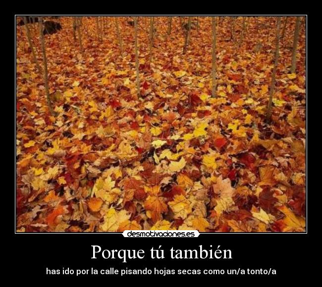 Porque tú también - has ido por la calle pisando hojas secas como un/a tonto/a