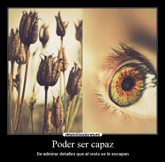 Poder ser capaz - 