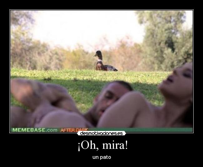 ¡Oh, mira! - 