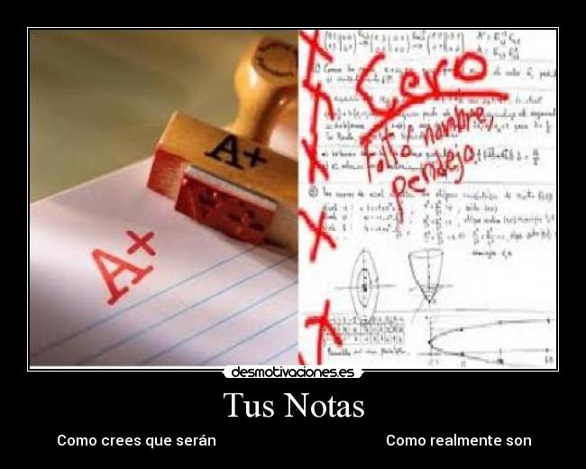 Tus Notas - 
